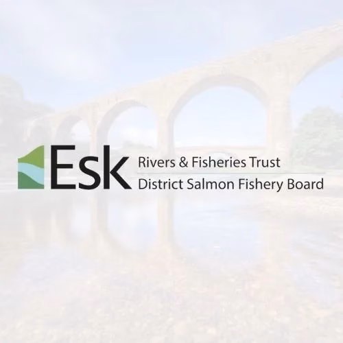 Dundee Web Design project for The Esks Rivers & Fisheries Trust and District Salmon Fishery Board